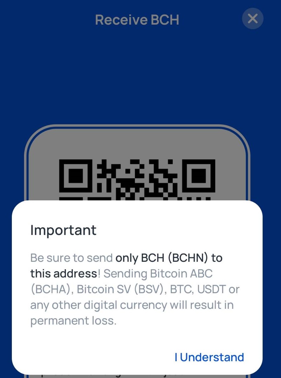 BCH_Disclaimer.jpg