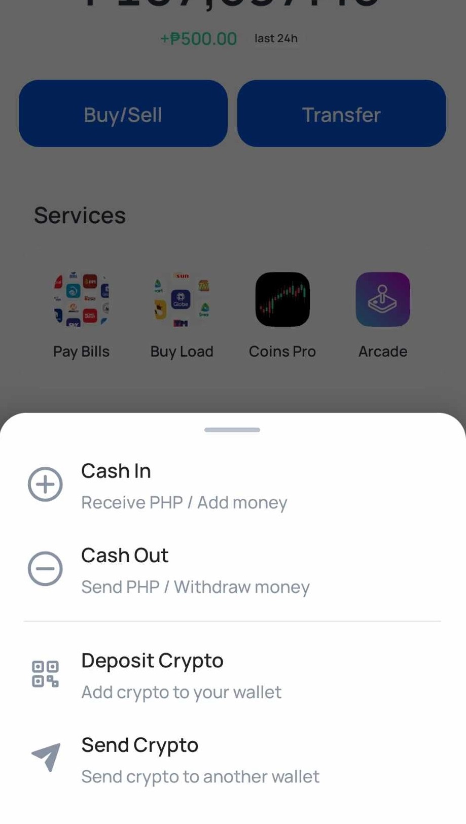 app home cash out send buttom.jpg